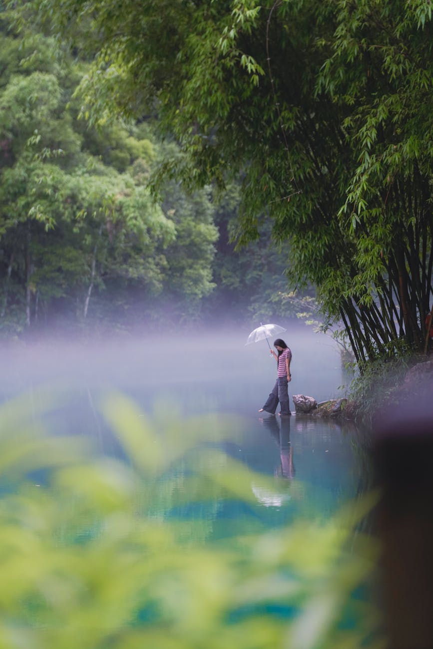 serene moment helps Improve memory naturally